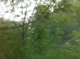 Взгляни, мой друг, ты тоже видишь седые в небе облака