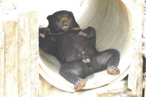 Девченки! предлагаю открыть свою подборку!