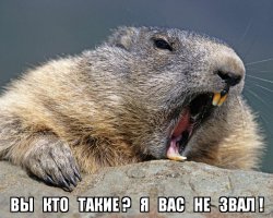 Вот так вот, да? Только обосновался ...
