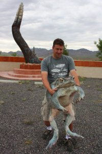 больной ублюдок насилует бедную зверушку