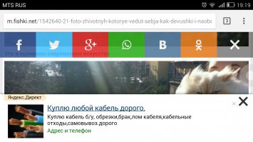 Мне кажется или на мобильной версии немножко переборщили с рекламой?