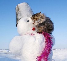 21 фото животных, которые ведут себя как девушки и наоборот