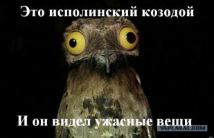 Свадебные фотографы или как не надо снимать свадьбу