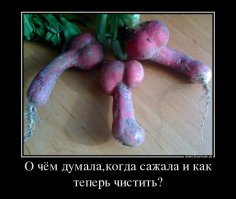 13 продуктов, которые мы всю жизнь чистили неправильно