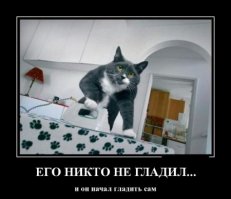 Швейных дел мастер