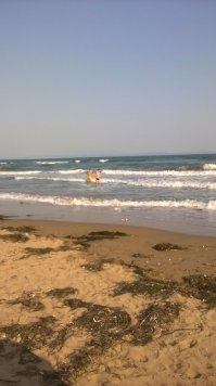 Сегодня. Бухта Шамора, Владивосток.