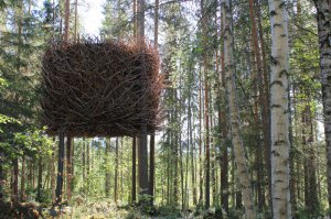 Tham & Videgard Architects. Treehotel
Автор этого дома архитектор Бертил Харстрем. Внутри дом выглядит наподобие кабинки, разделенной на комнаты. А снаружи он так отделан ветками, что напоминает самое настоящее гнездо огромной птицы.