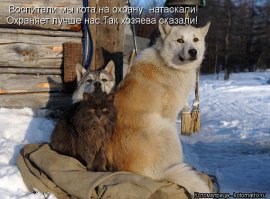 Как кошка с собакой. Часть 1