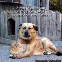Как кошка с собакой. Часть 1