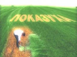 Зеленая лужайка без единой капли воды  