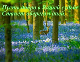 Сравнивая человека с животным, мы часто незаслуженно обижаем их