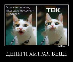 21 фото животных, которые ведут себя как девушки и наоборот