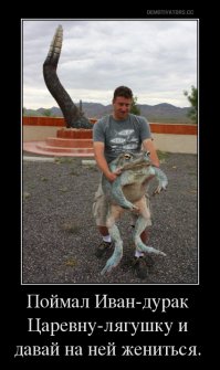 Фотоподборка за 21.05.2015