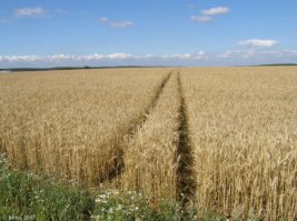 Эту страну не победить!