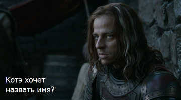 По стопам Винни-Пуха: 16 застрявших зверя