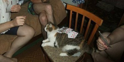 34 необъяснимые фотографии: смешно и непонятно