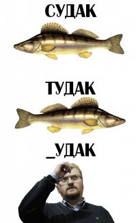 вот еще пример  человека с синдромом дауна и его успеха