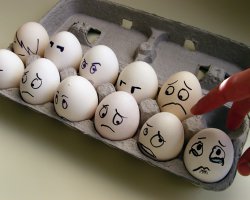 Что делать, если в холодильнике только яйца?