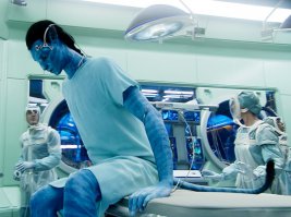 Чья это дверь?