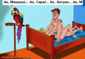 Веселое объявление о продаже попугая