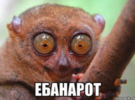 7 людей, в существование которых сложно поверить