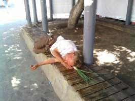 Как лук в носках может изменить вашу жизнь