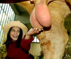 Что делать, если в холодильнике только яйца?