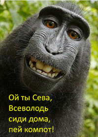 Созрели вишни в саду