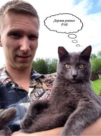 Фотогеничность кота зашкаливает