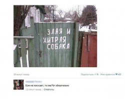 Смешные комментарии из социальных сетей 