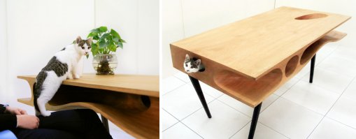 Для котэ.