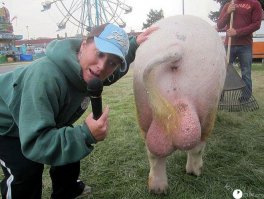 Пока выльется: