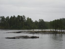 ну, и до кучи