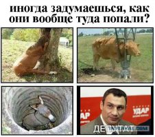 Kак они туда попали?