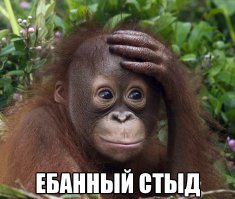 Самые странные рекорды человеческого тела 2015 года 