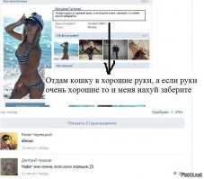 Смешные комментарии из социальных сетей