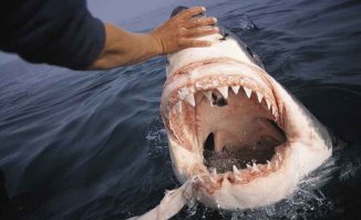 А с такой слабо?:)