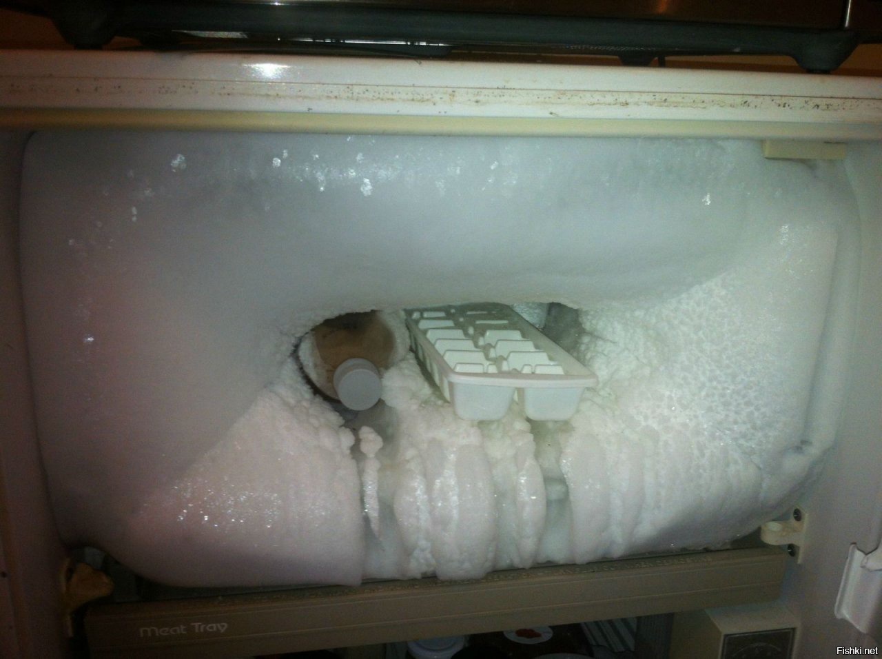 можно ли заморозить сперму в холодильнике фото 60