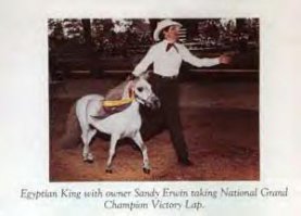 ... а вот он же, рядом с человеком (ставлю для сравнения роста, чтоб было видно, что это таки миниатюрная лошадь)