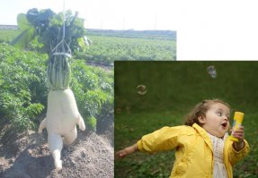 Фотоподборка за 27.05.2015