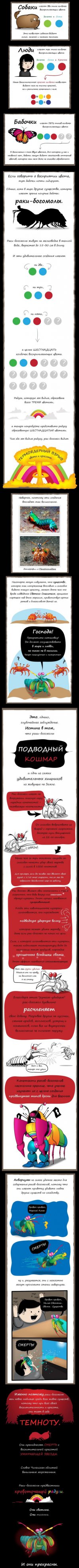 25 жутких обитателей морских глубин 