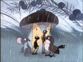 20 животных, прячущихся от дождя под натуральными «зонтиками»