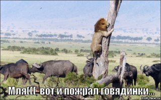 Фотоподборка за 27.05.2015