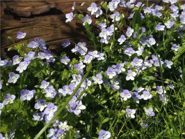 Да, приезжайте к нам! ))))