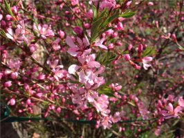 Да, приезжайте к нам! ))))