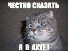 На первый взгляд, это ствол старого дерева... Но подойди поближе
