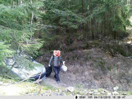 Уникальные природные камеры в заповедниках Эстонии и Латвии (11 видео)