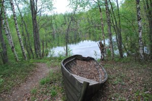 Вот настоящий природный пейзаж.  Вот так и стоит старая лодка.