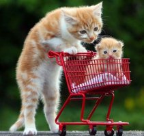 Быть настоящей Мамой