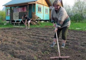 Берём всё!!!